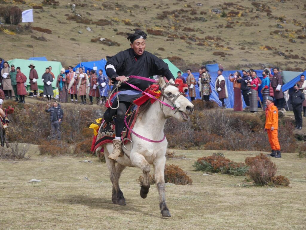 laya 14