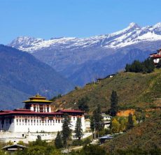 Paro Dzong(New)